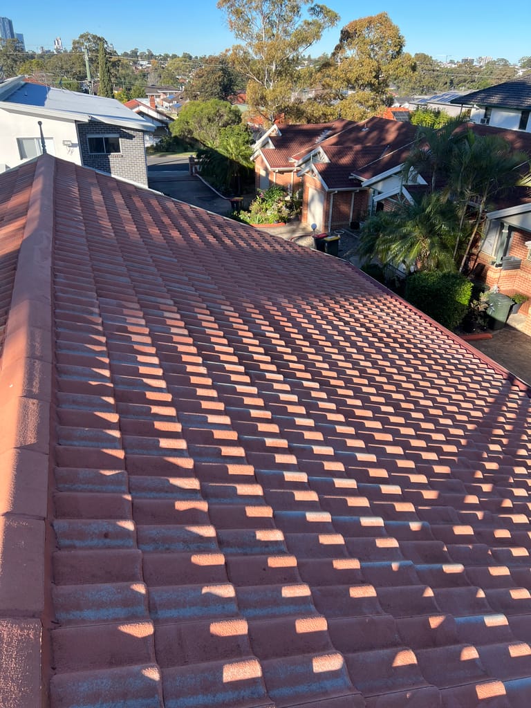 The same rendered wall, clean and bright after soft washing